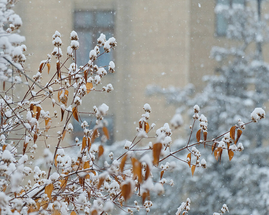 Обильный снегопад обрушился на Алматы – Фото №8