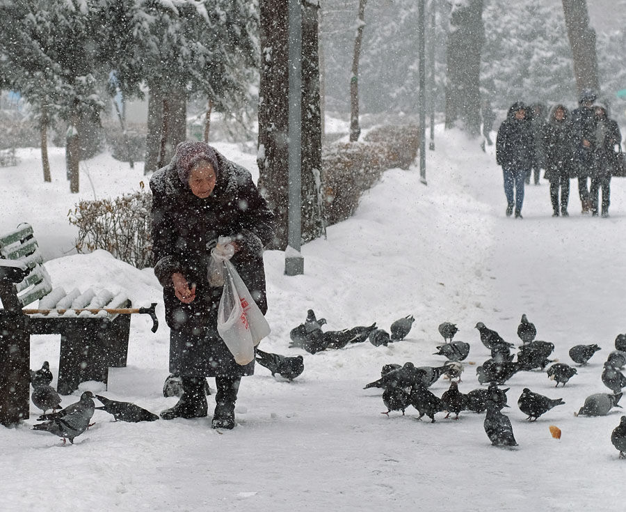 Обильный снегопад обрушился на Алматы – Фото №12