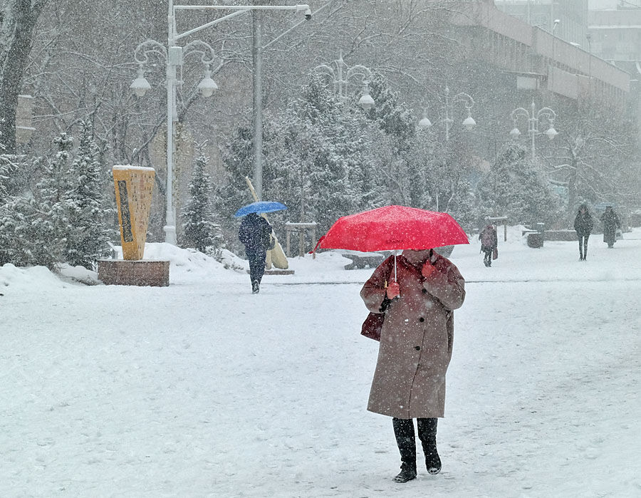 Обильный снегопад обрушился на Алматы – Фото №6