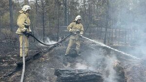 Пожар в области Абай направляется в сторону Каштакского лесничества