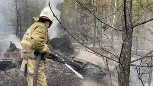 На четырех участках продолжают тушить пожар в области Абай