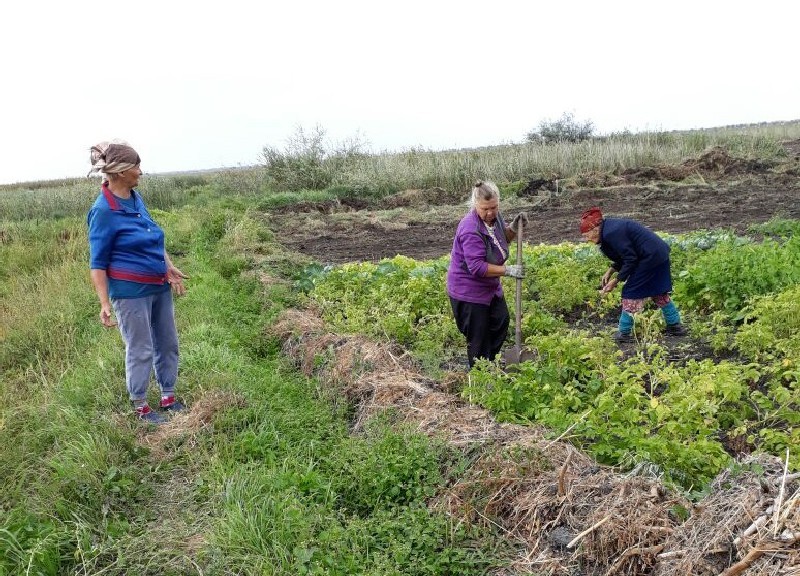 Строители решили пойти самым простым путем - провести дамбу прямо по огородам!