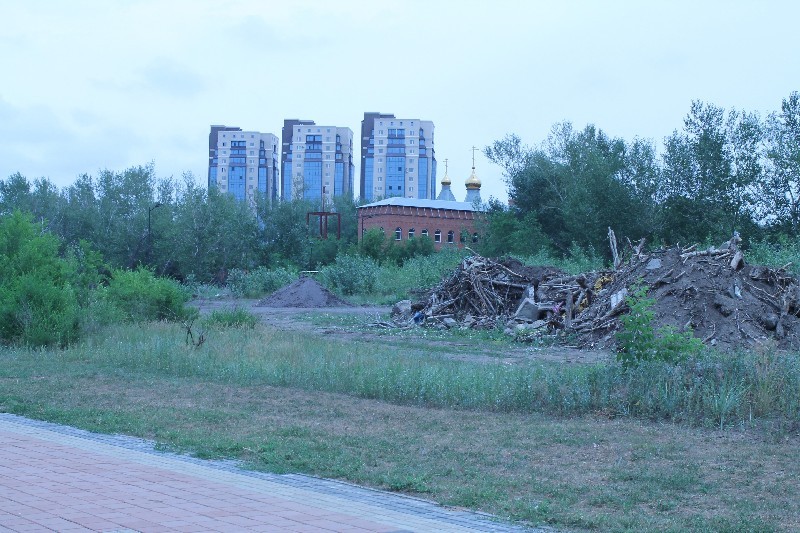 Пока еще живая березовая роща и “полумертвый” Центральный парк.