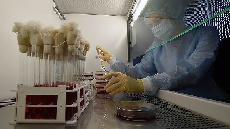 Фото с сайта kommersant.ru