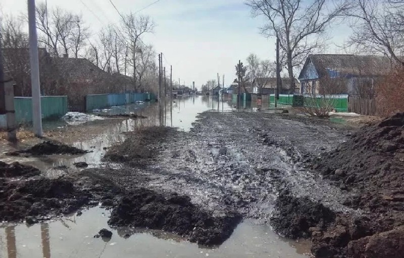 Северный вариант. Нужен ли он южанам?