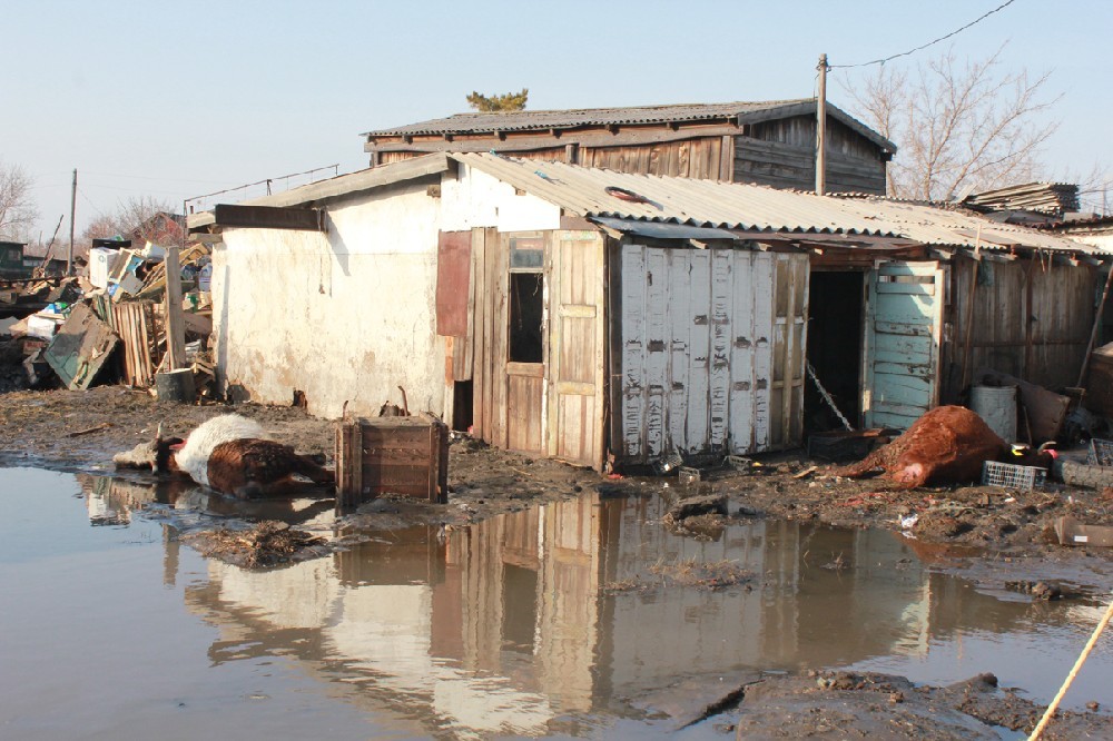 В апреле этого года многие жители Карагандинской области лишились жилья.