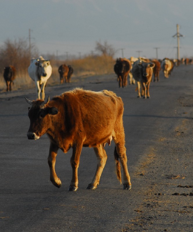 Фото Владимира третьякова Фото Владимира третьякова