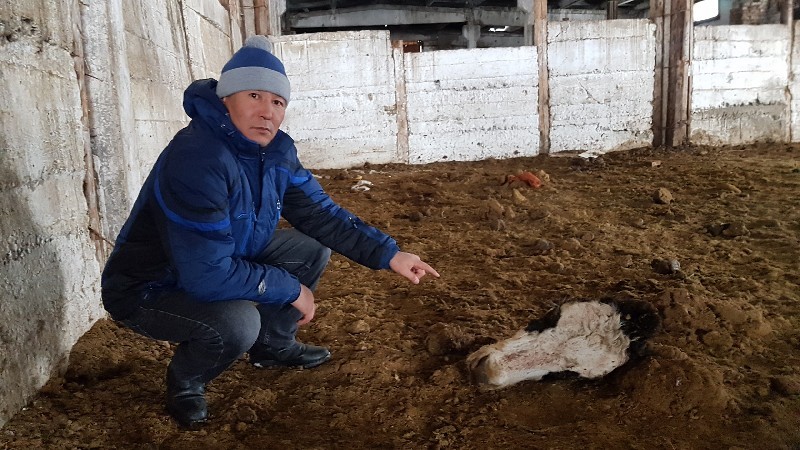 Рустем СМАГУЛОВ.