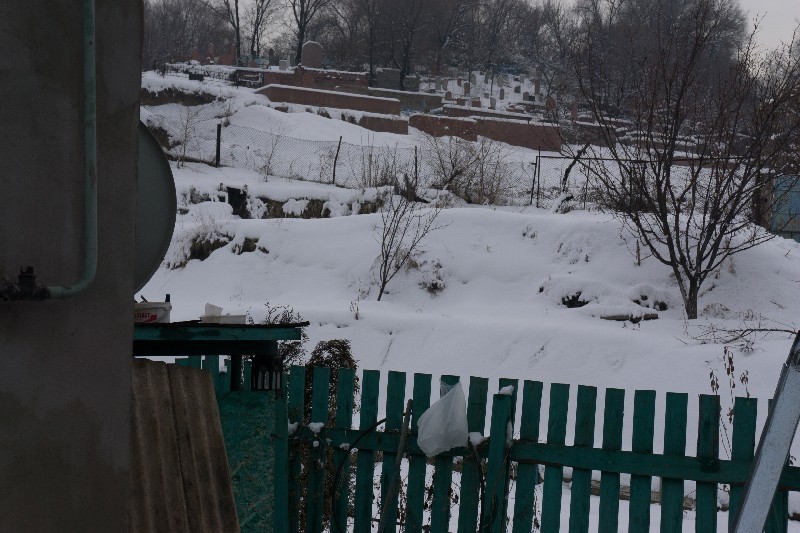 Этот забор из сетки-рабицы (на дальнем плане) определяет границы участка Натальи Аритичевой. Где располагается кладбище, вы видите сами.