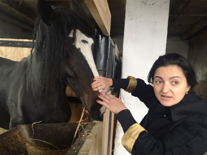 Вера Васильева полна решимости доказать, что конфискованных лошадей подменили.