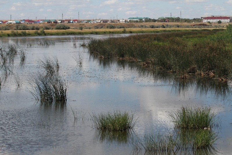 После потепления Анискино озеро может превратиться в мощную экологическую бомбу.