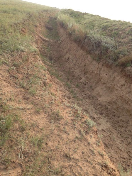 Вот такие окопы вырыл новый хозяин земли в Акмолинской области, чтобы не пускать чужой скот на свои пастбища.