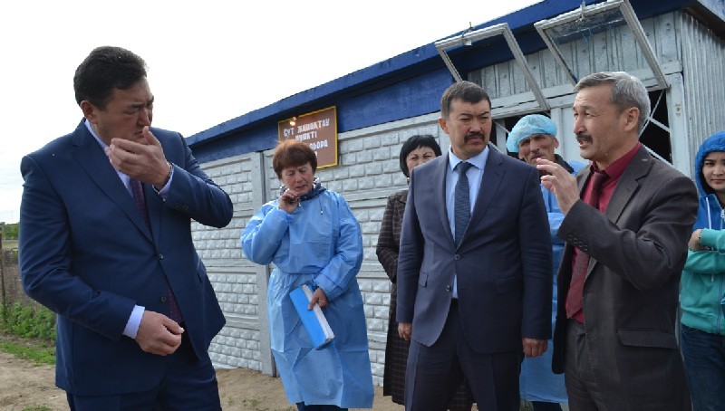 Булата БАКАУОВА мошка атаковала в одном из павлодарских сел.