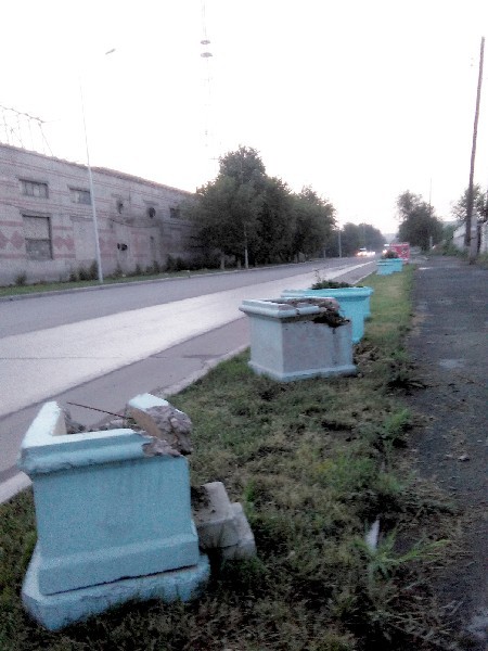 Новые вазоны город не украсили.