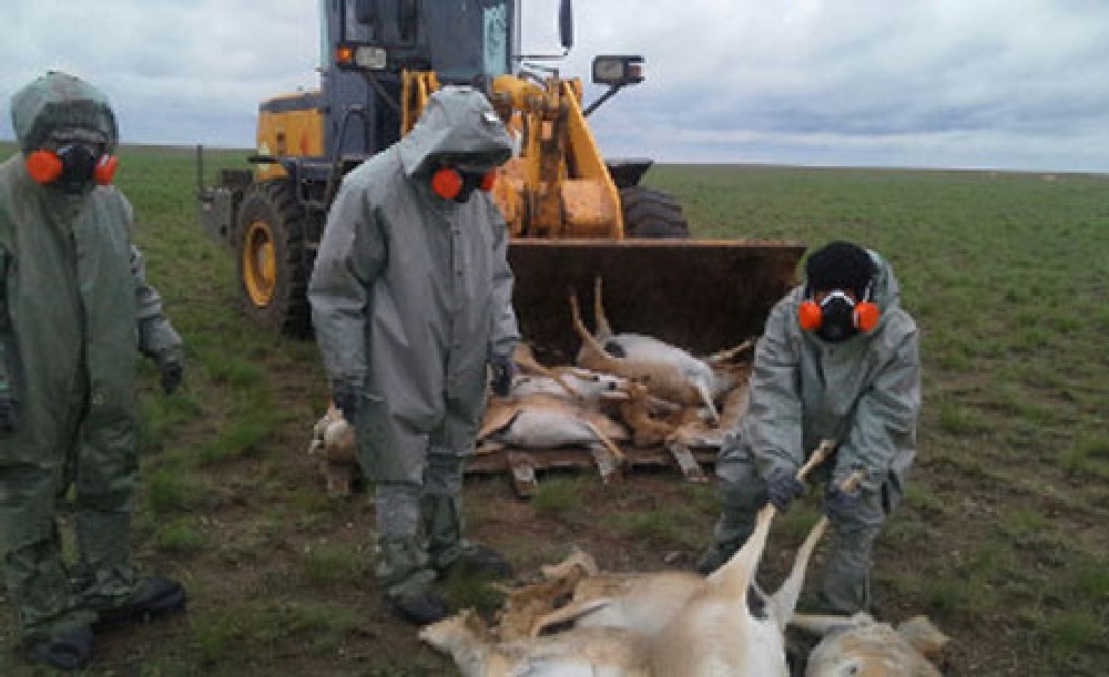 Фото с сайта inform.kz