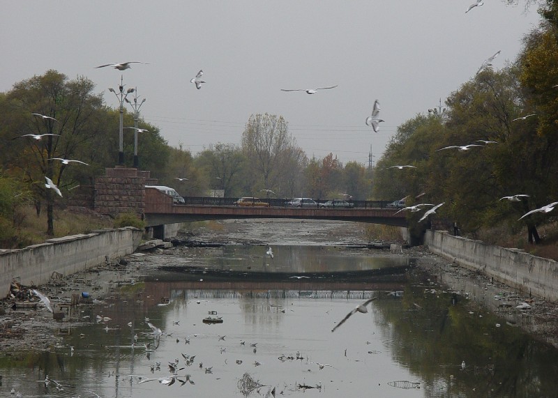 Большой Алматинский канал.