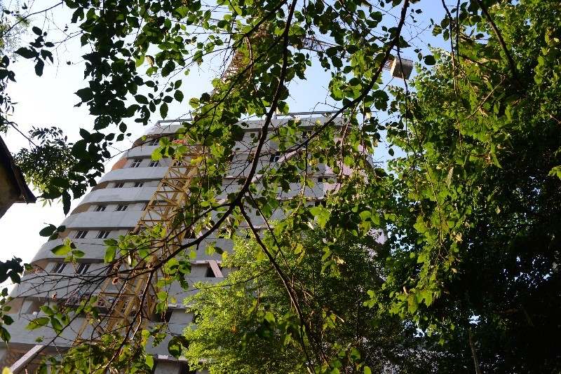 Рядом с “блохастым” домом возводится гостиница, где рабочие тоже чешутся от блох.