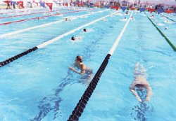 Все это рок-н-ролл