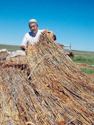Как аким чуть со стула не упал…