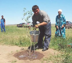 Как аким чуть со стула не упал…