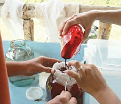 Как расстаются с рогами