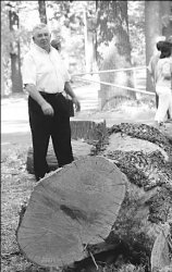 Горький парк