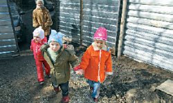 Это нас вырубают!