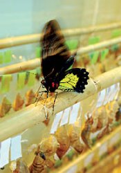 Дом, где раскрываются глаза