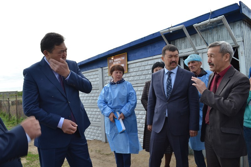 Аким Булат Бакауов отбивается от гнуса.