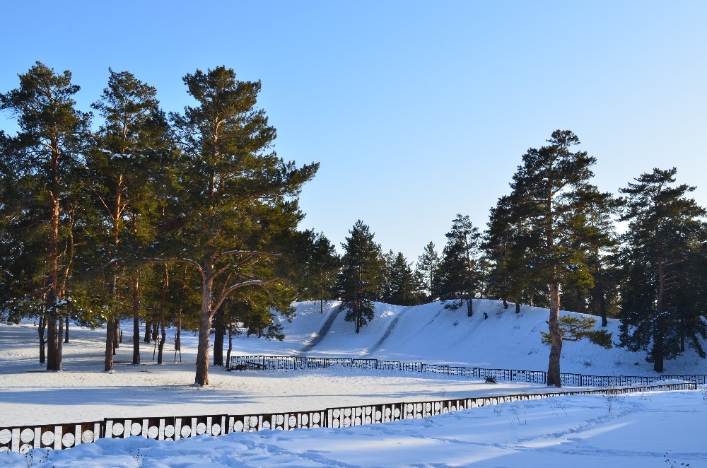 Сосновый бор.