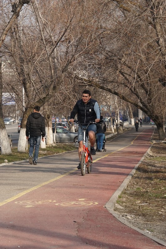 Если аким всерьез хочет ездить на велосипеде, то велодорожек надо бы побольше.