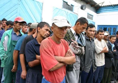 Около 300 тысяч незаконных трудовых мигрантов работают в Казахстане