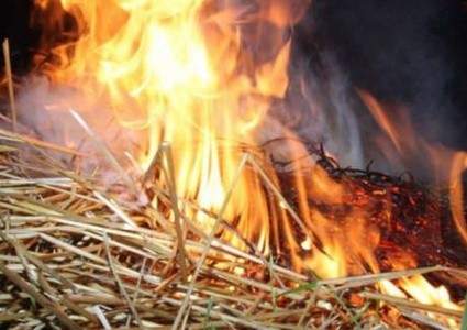33 тонны сена сгорело в Восточно-Казахстанской области за минувшие сутки
