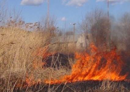 Возгорание сухостоя тушат на склоне горы в Медеуском районе Алматы