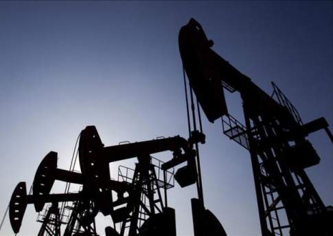 Цена барреля нефти ОПЕК 2 февраля выросла на 7,49% - до $48,19