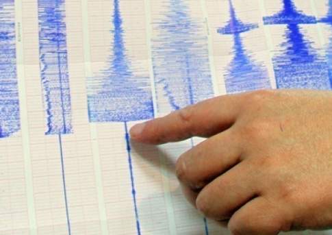 Землетрясение магнитудой 4,8 произошло на границе Казахстана и Узбекистана