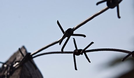 Фото: torange.ru