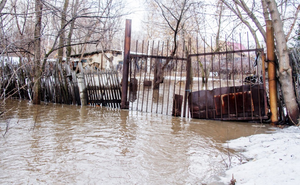 Фото с сайта altaynews.kz