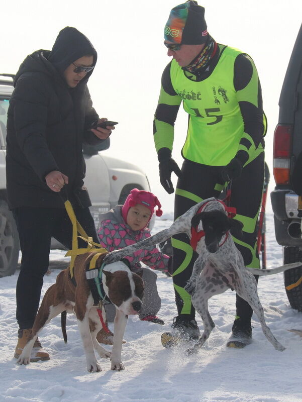 “Поехали!” - и махнул хвостом – Фото №2 “Поехали!” - и махнул хвостом – Фото №2