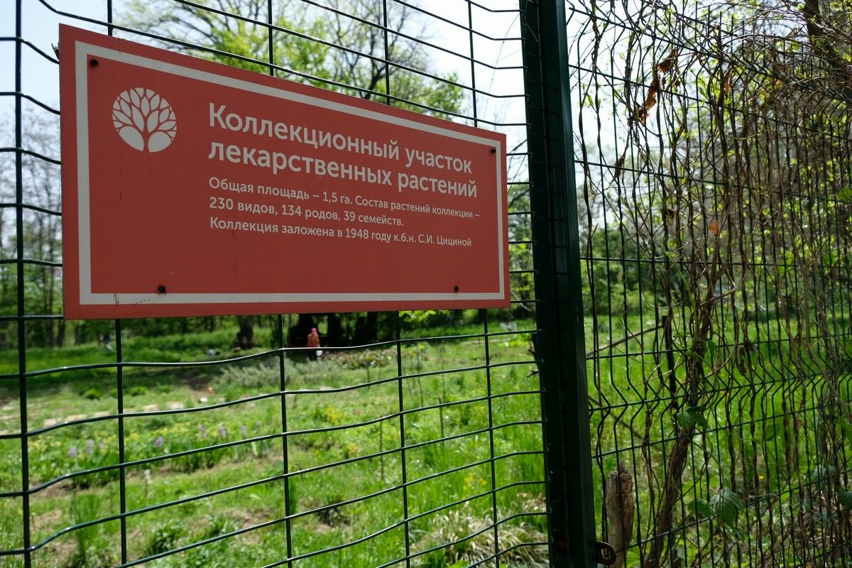 То берёзка, то рябина... – Фото №16 То берёзка, то рябина... – Фото №16
