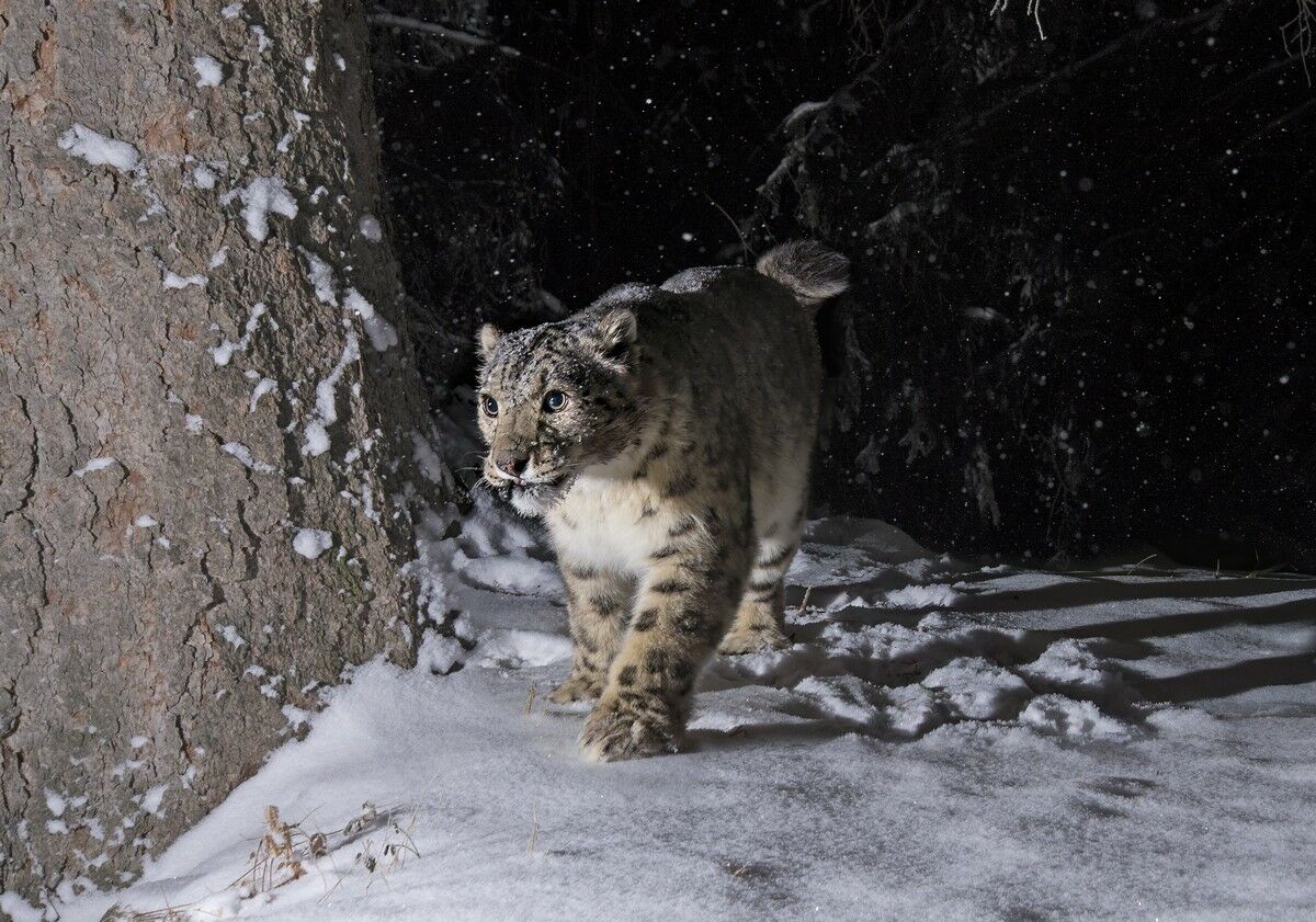 “Иначе я бы инфаркт получил…” – Фото №5 “Иначе я бы инфаркт получил…” – Фото №5
