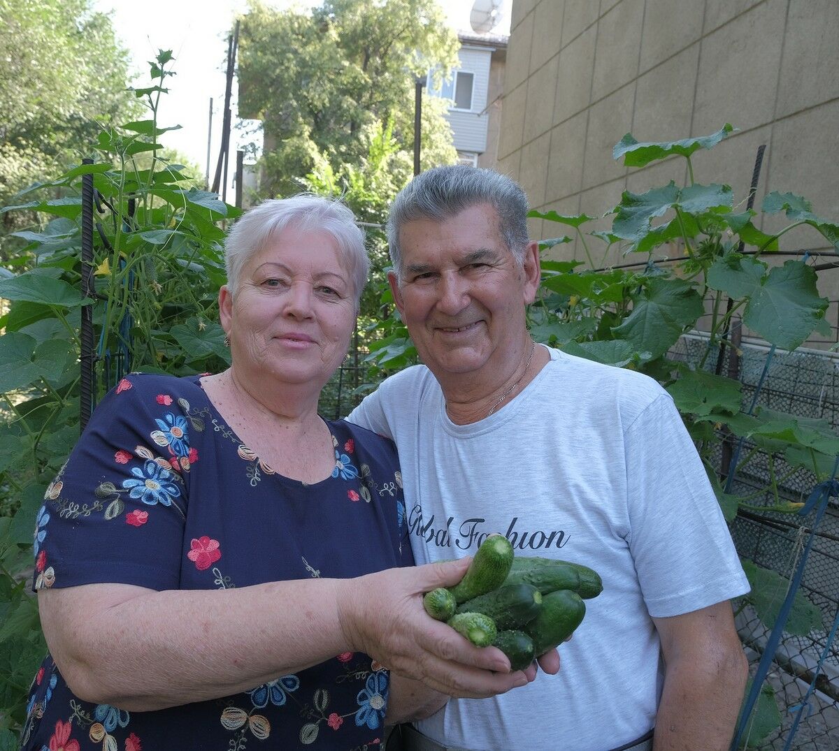 Алматинцы превратили палисадники в огороды и сады – Фото №1 Алматинцы превратили палисадники в огороды и сады – Фото №1