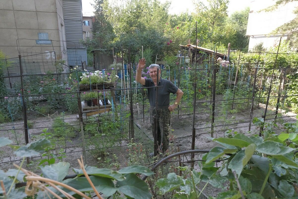 Алматинцы превратили палисадники в огороды и сады – Фото №2 Алматинцы превратили палисадники в огороды и сады – Фото №2