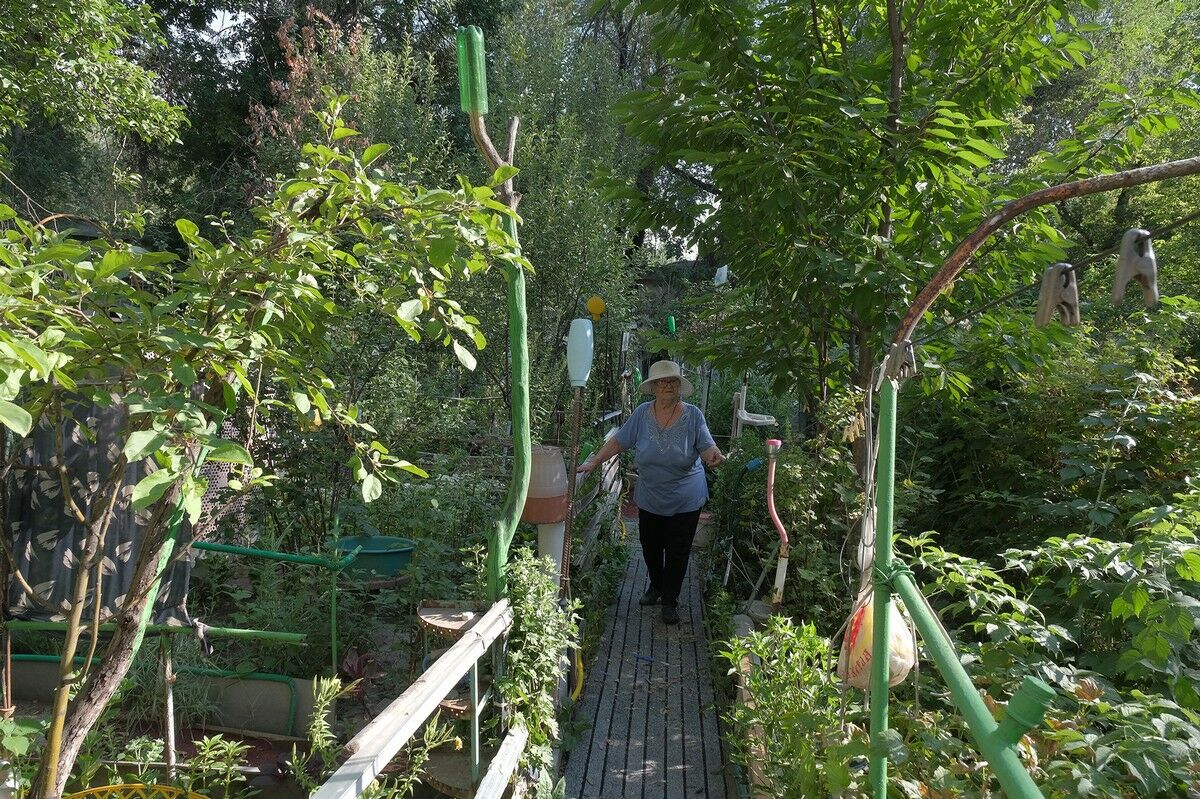 Алматинцы превратили палисадники в огороды и сады – Фото №8 Алматинцы превратили палисадники в огороды и сады – Фото №8