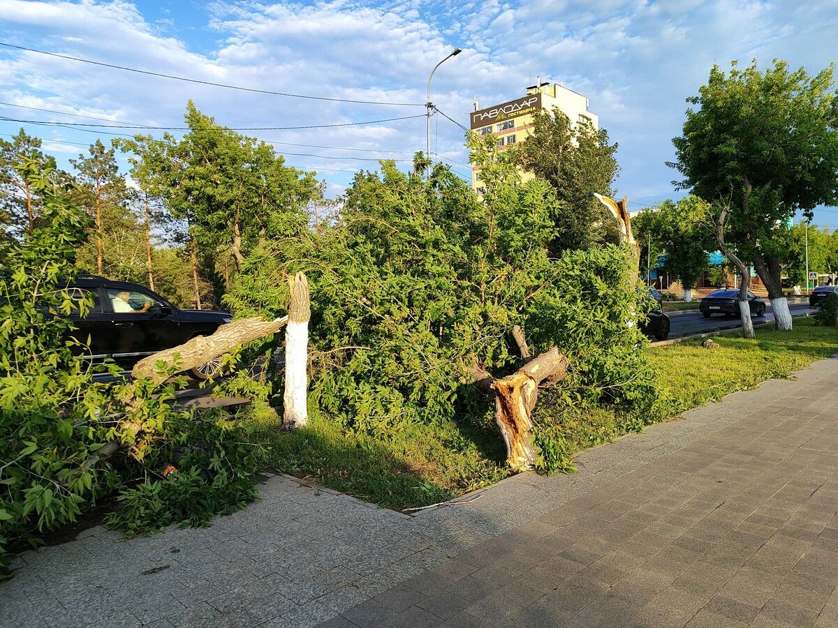 Совсем взбесилась стихия… – Фото №6 Совсем взбесилась стихия… – Фото №6