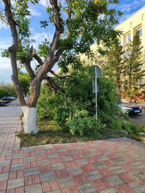 Совсем взбесилась стихия… – Фото №1 Совсем взбесилась стихия… – Фото №1