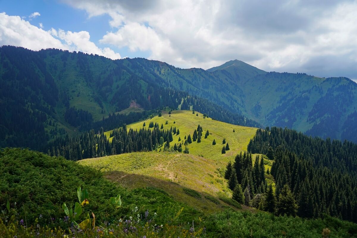 По дороге с облаками – Фото №10 По дороге с облаками – Фото №10