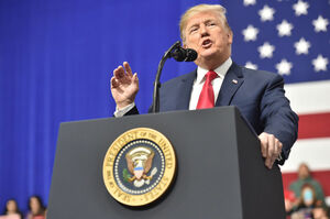 Кнут и пряник Трампа