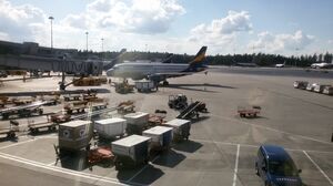 Тягач протаранил А320 авиакомпании Air Astana в Шереметьево