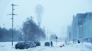Снежная засада